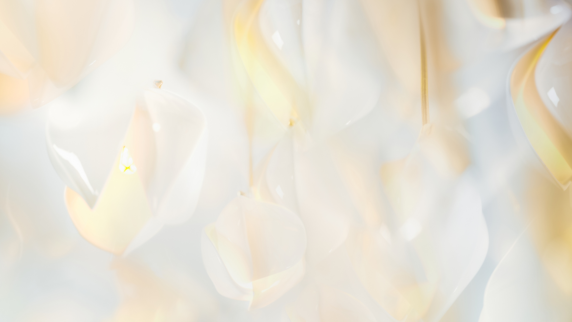 Bloom Banner slideshow