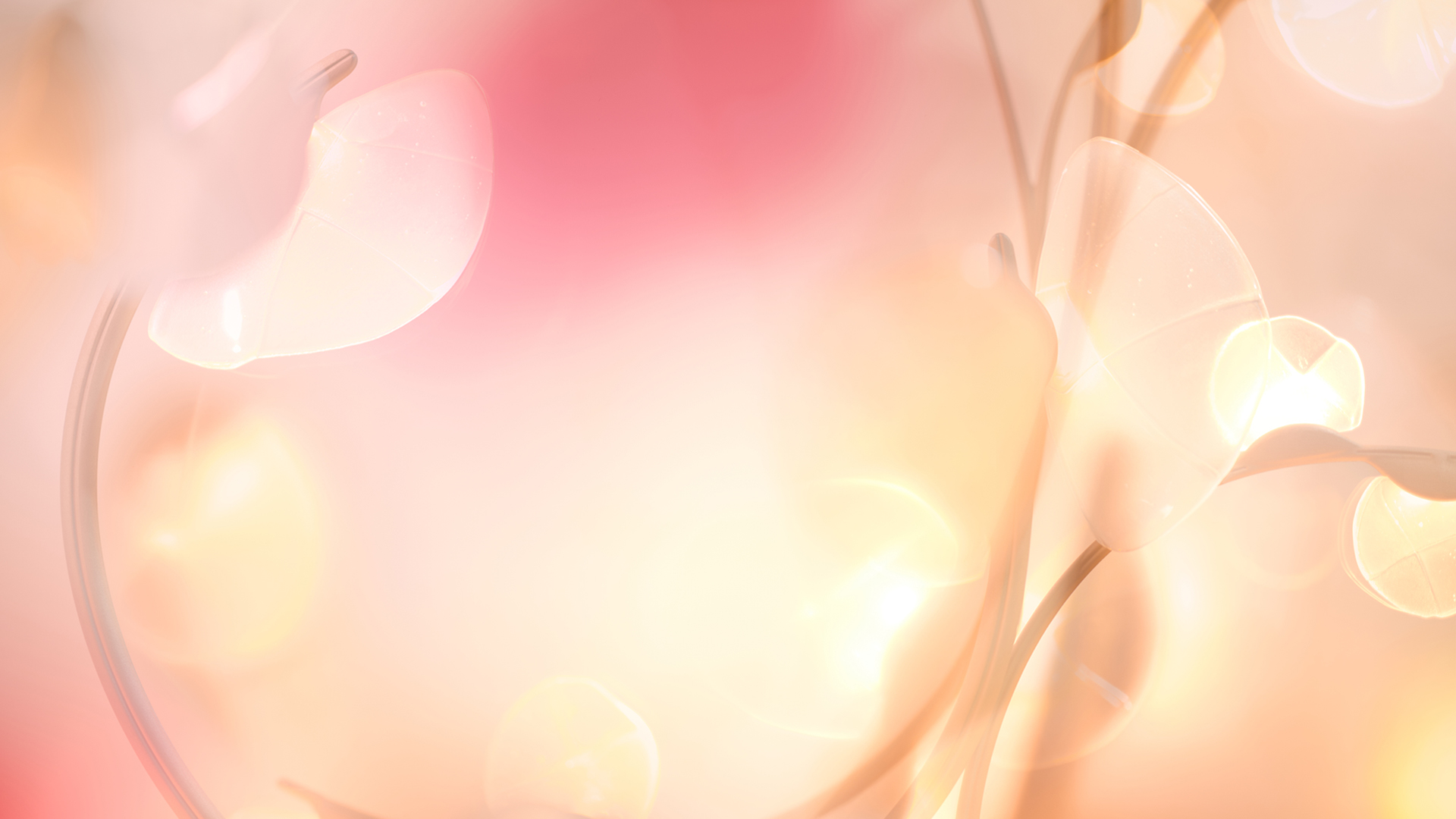 Summer-Meadow-Haberdashery-Slideshow