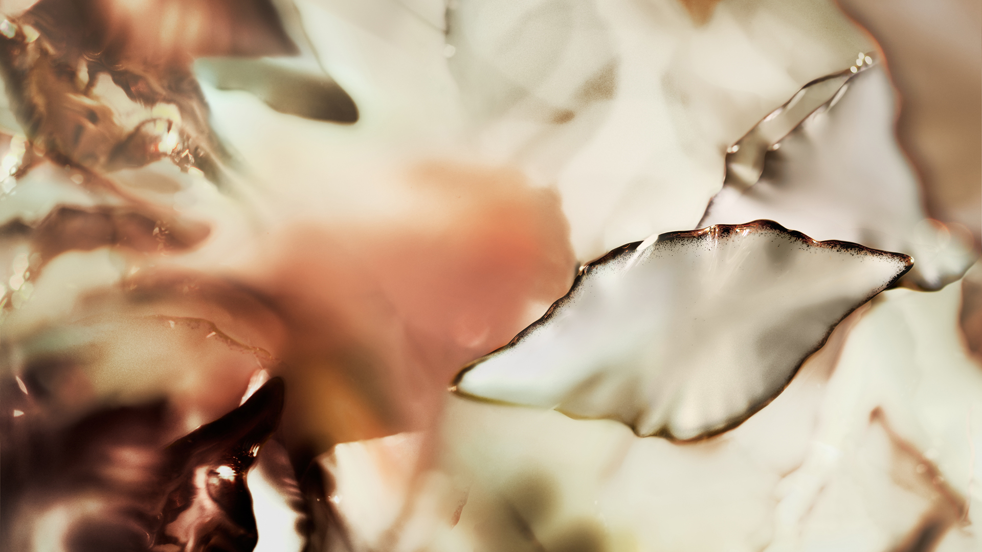 Leaf-Twisted-Canopy-258-Haberdashery-MVilla-05_01-slideshow