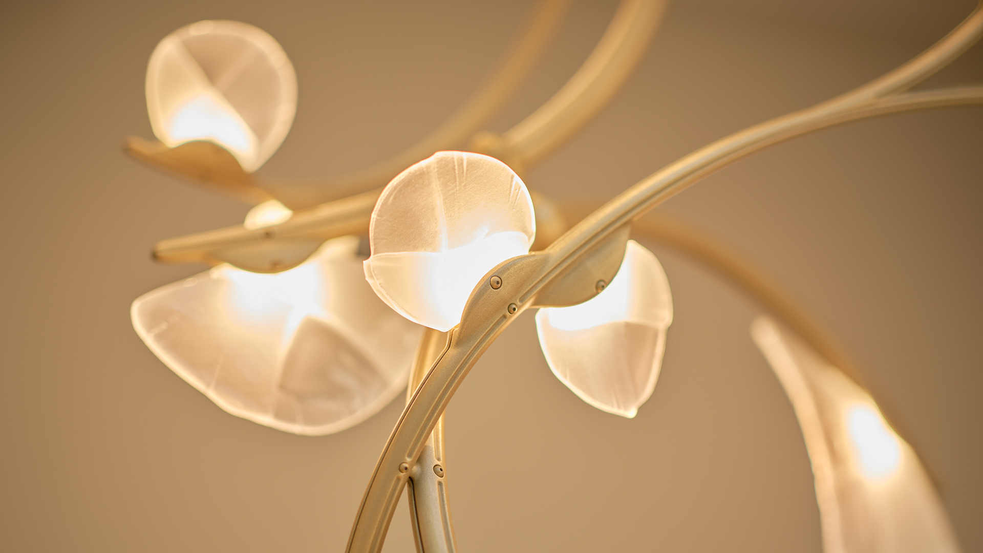 slideshow-template-2880x18d0