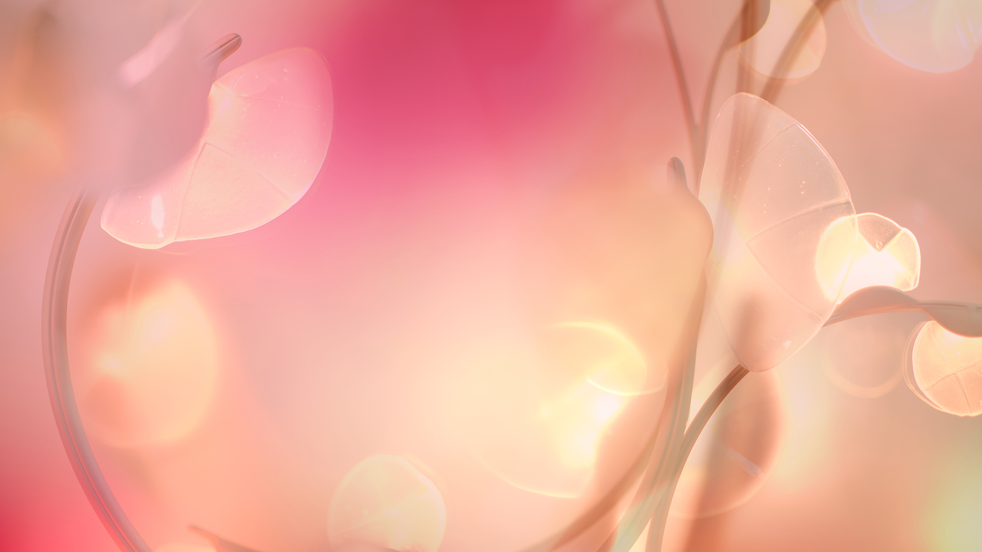 Summer-Meadow-Haberdashery-Slideshow